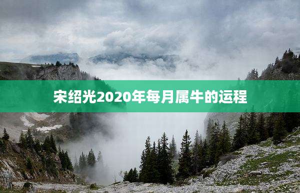 宋绍光2020年每月属牛的运程
