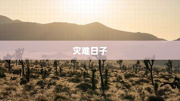 灾难日子
