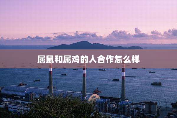 属鼠和属鸡的人合作怎么样