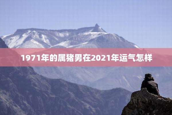 1971年的属猪男在2021年运气怎样