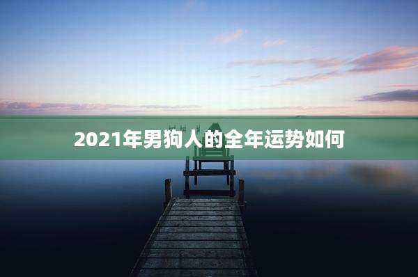 2021年男狗人的全年运势如何