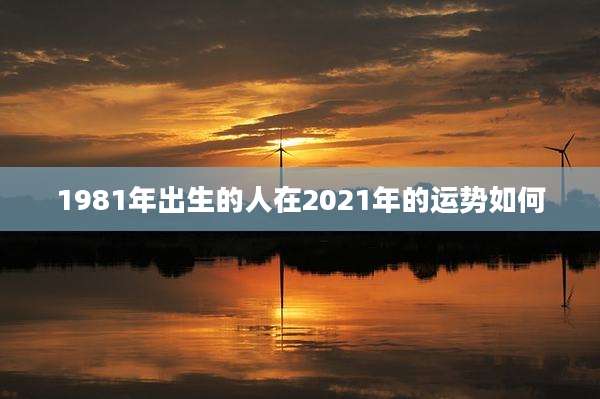 1981年出生的人在2021年的运势如何