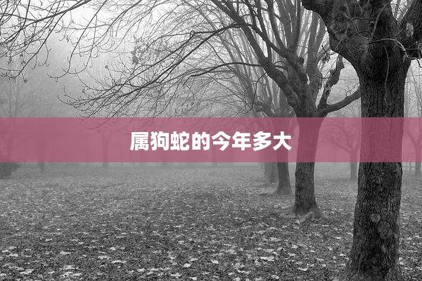 属狗蛇的今年多大
