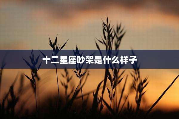 十二星座吵架是什么样子