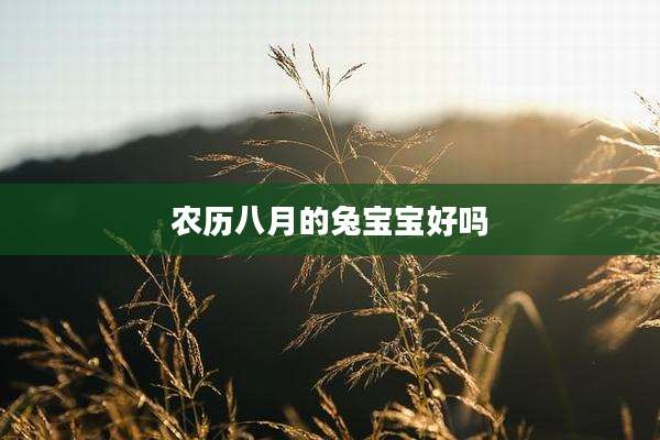 农历八月的兔宝宝好吗
