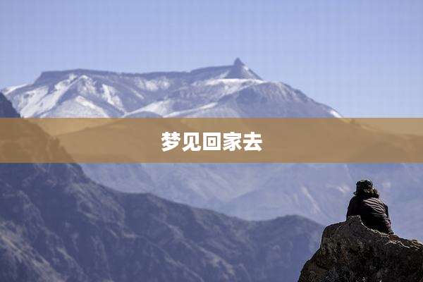 梦见回家去