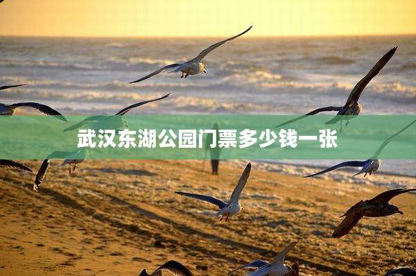 武汉东湖公园门票多少钱一张
