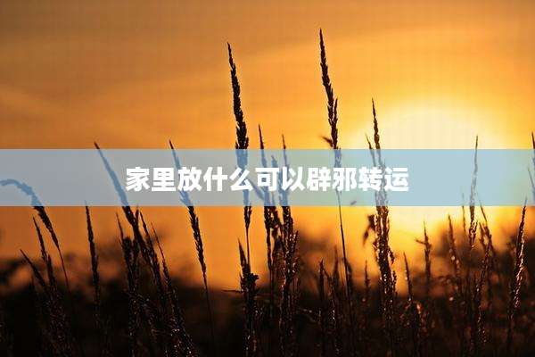 家里放什么可以辟邪转运