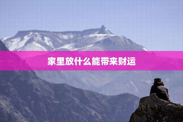 家里放什么能带来财运