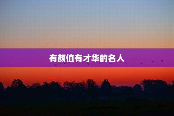 有颜值有才华的名人