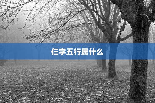 仨字五行属什么