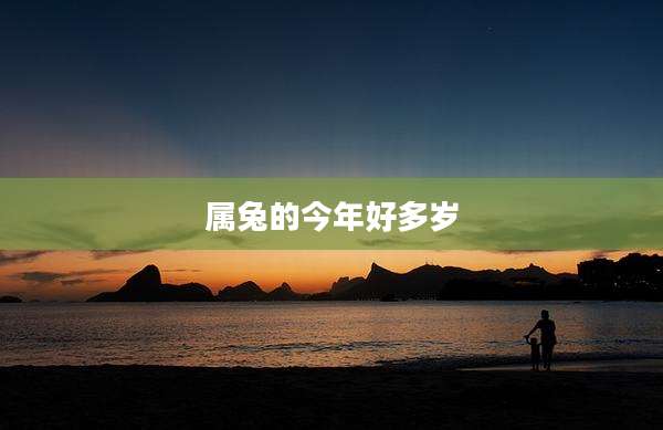 属兔的今年好多岁