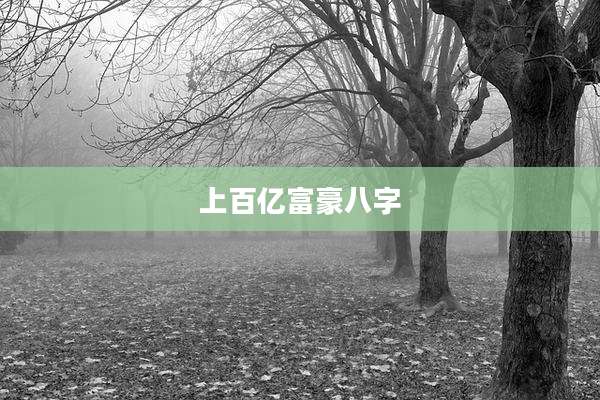 上百亿富豪八字