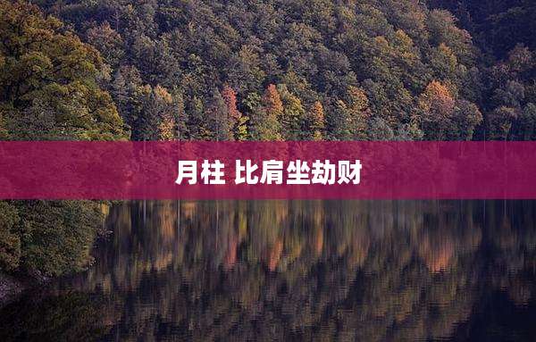 月柱 比肩坐劫财