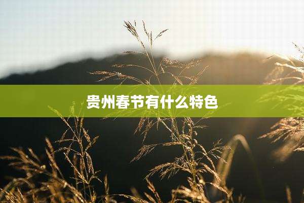 贵州春节有什么特色