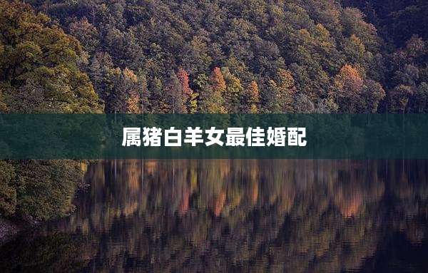属猪白羊女最佳婚配