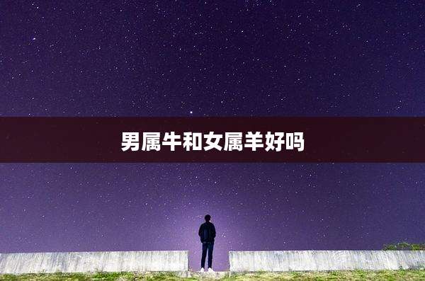 男属牛和女属羊好吗