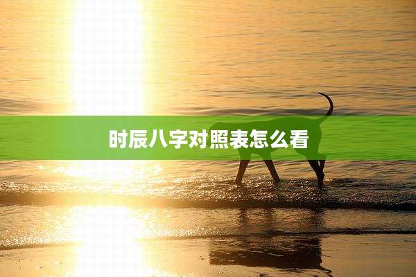 时辰八字对照表怎么看