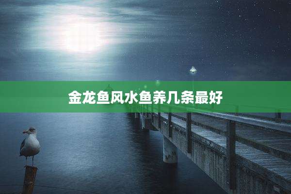 金龙鱼风水鱼养几条最好