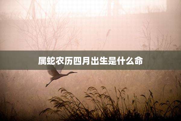 属蛇农历四月出生是什么命