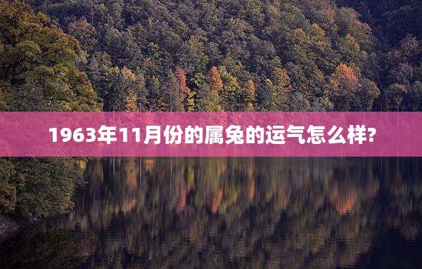 1963年11月份的属兔的运气怎么样?