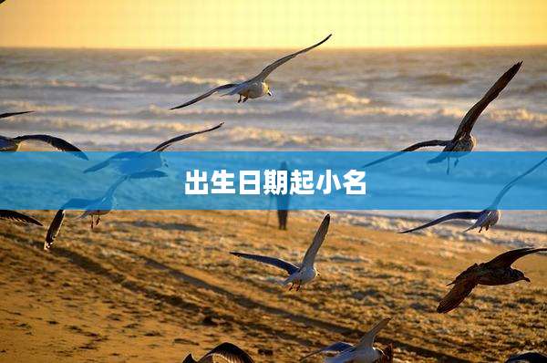 出生日期起小名