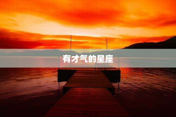 有才气的星座