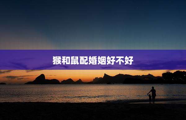 猴和鼠配婚姻好不好