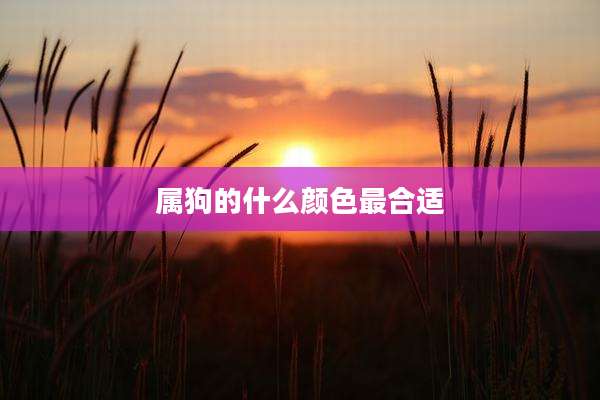 属狗的什么颜色最合适