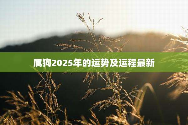 属狗2025年的运势及运程最新