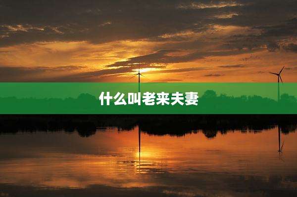 什么叫老来夫妻
