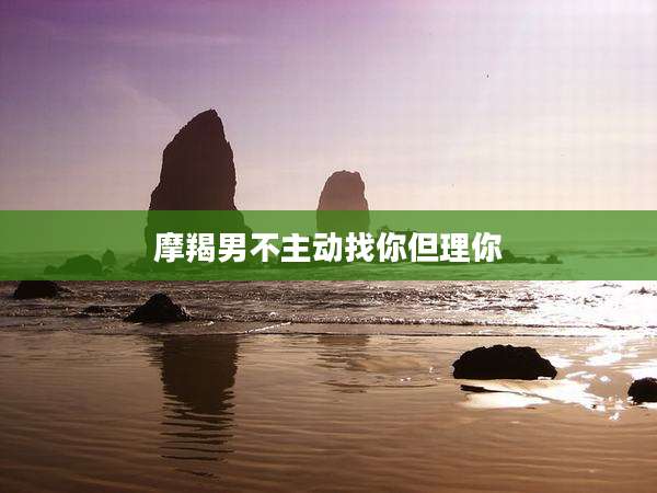 摩羯男不主动找你但理你