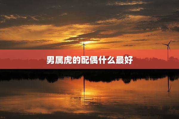 男属虎的配偶什么最好