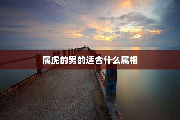 属虎的男的适合什么属相