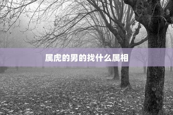 属虎的男的找什么属相