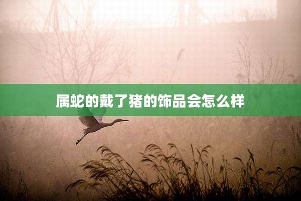 属蛇的戴了猪的饰品会怎么样
