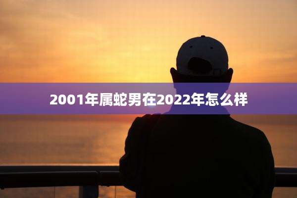 2001年属蛇男在2022年怎么样