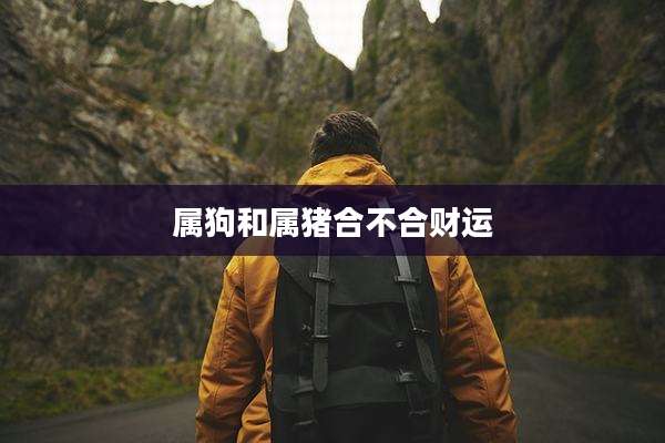 属狗和属猪合不合财运