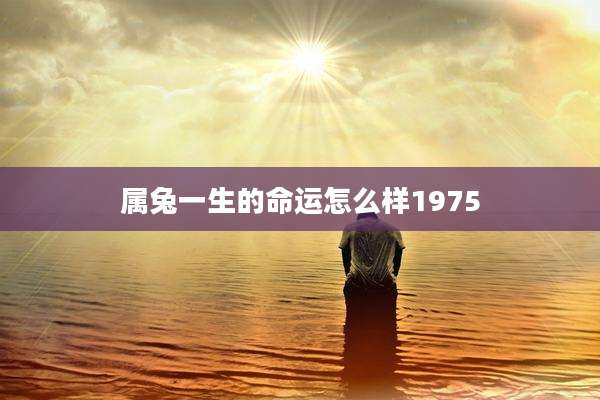 属兔一生的命运怎么样1975