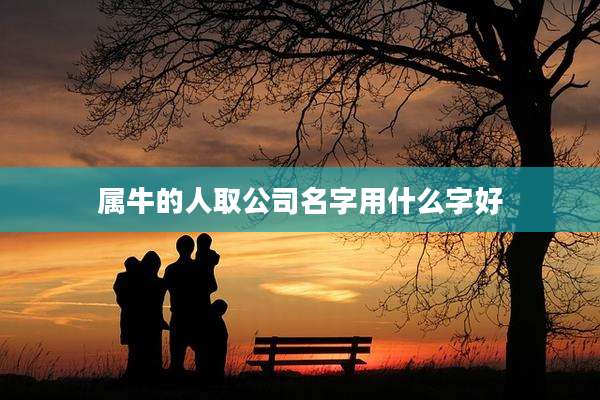 属牛的人取公司名字用什么字好
