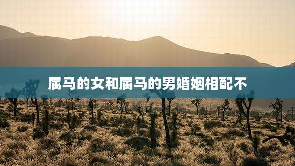 属马的女和属马的男婚姻相配不