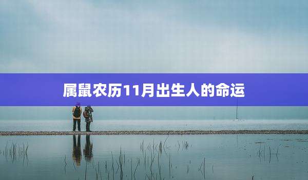 属鼠农历11月出生人的命运