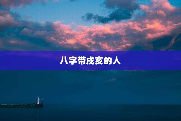 八字带戌亥的人