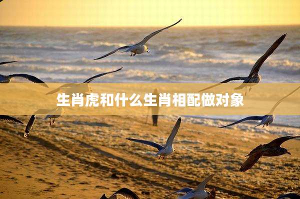 生肖虎和什么生肖相配做对象