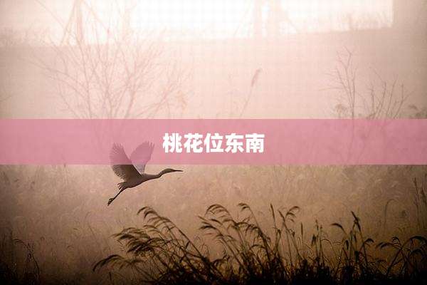 桃花位东南