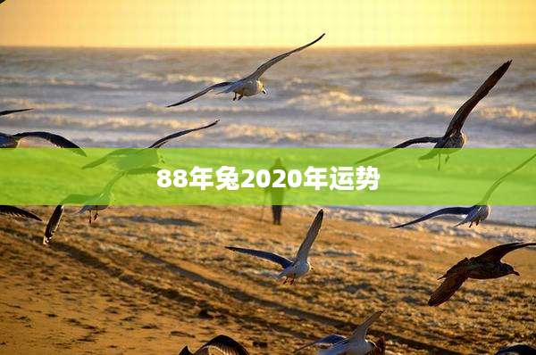 88年兔2020年运势