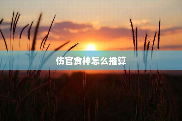 伤官食神怎么推算