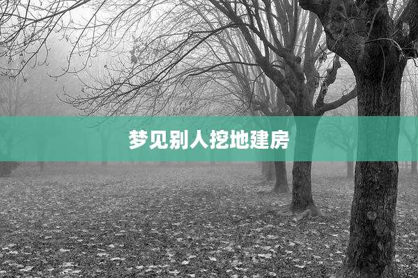 梦见别人挖地建房