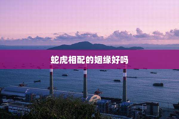 蛇虎相配的姻缘好吗
