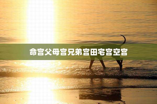 命宫父母宫兄弟宫田宅宫空宫